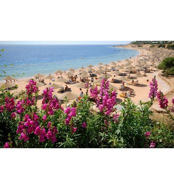 Египет по самым выгодным ценам !